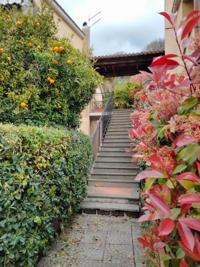 Sguardo Sul Lago Trevignano Romano Eksteriør bilde
