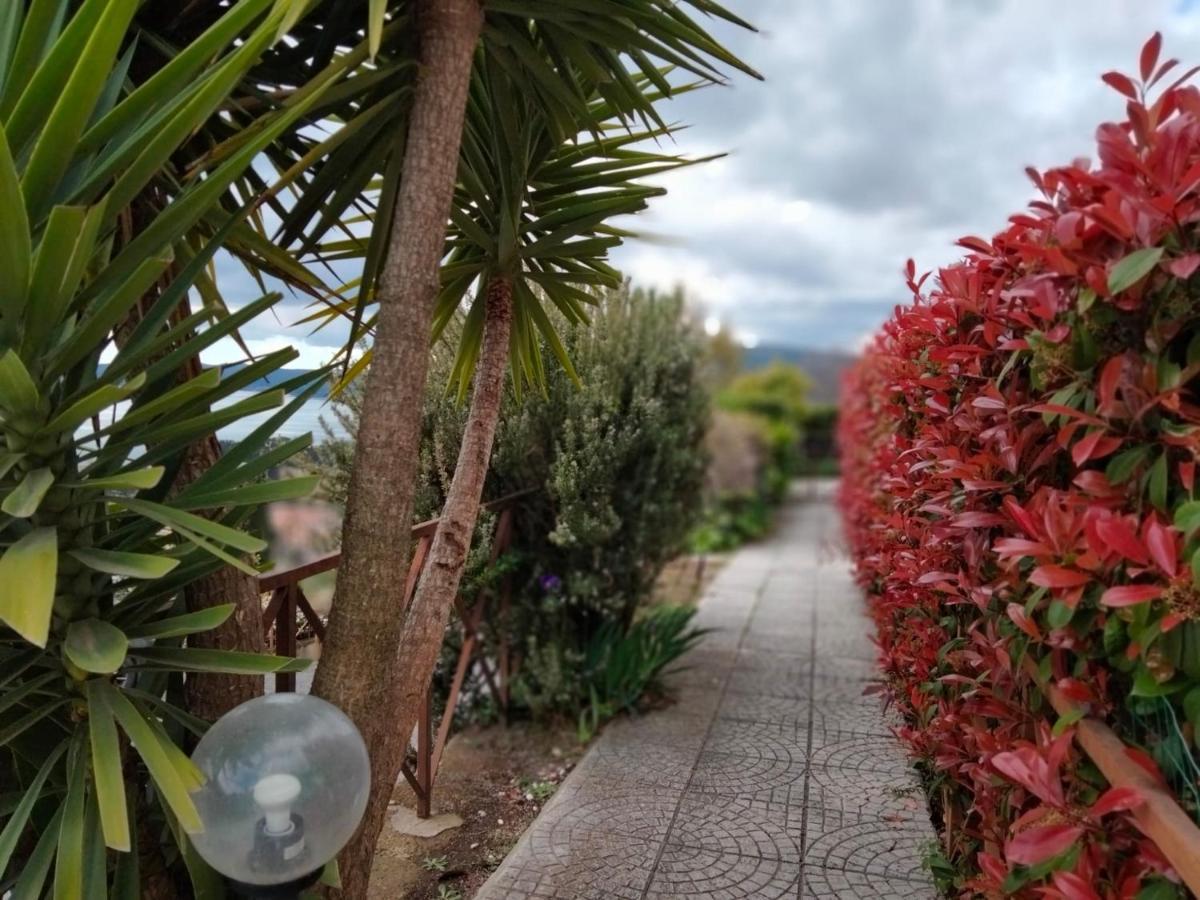Sguardo Sul Lago Trevignano Romano Eksteriør bilde